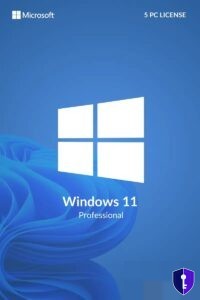 Microsoft Windows 11 Pro – 5 pc-licentie — originele licentie - Odin Key