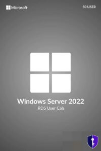 Client Access Licence (CAL) User – Remote Desktop Windows Server 2022 — original licence - Odin Key