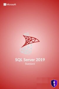 Microsoft SQL Server 2019 Standard – Database server licence — original licence - Odin Key
