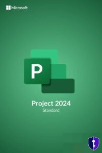 Microsoft Project 2024 Standard – Key linked to your Microsoft account (Bind Key) — original licence - Odin Key