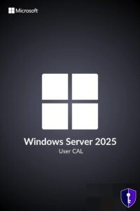 Client Access Licence (CAL) User – Remote Desktop Windows Server 2025 — original licence - Odin Key