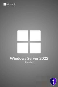 Windows Server 2022 Standard – Serverlizenz — Originallizenz - Odin Key