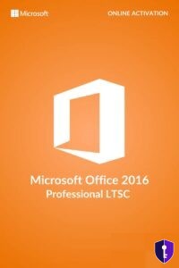 Microsoft Office 2016 Professional Plus LTSC – Levenslange licentie (1 pc) — originele licentie - Odin Key