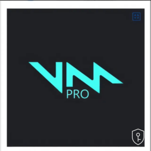 Voicemod PRO - 1 Mois Coupon Code Clé — licence originale à acheter en Suisse - CHKEY