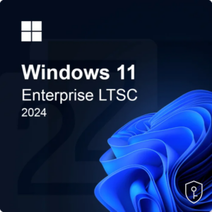 Windows 11 Enterprise IoT LTSC 2024 Clé CD — licence originale à acheter en Suisse - CHKEY