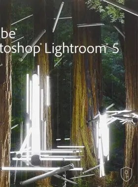 Adobe Photoshop Lightroom 5.7 Pour Windows (À vie / 1 PC) — licence originale à acheter en Suisse - CHKEY